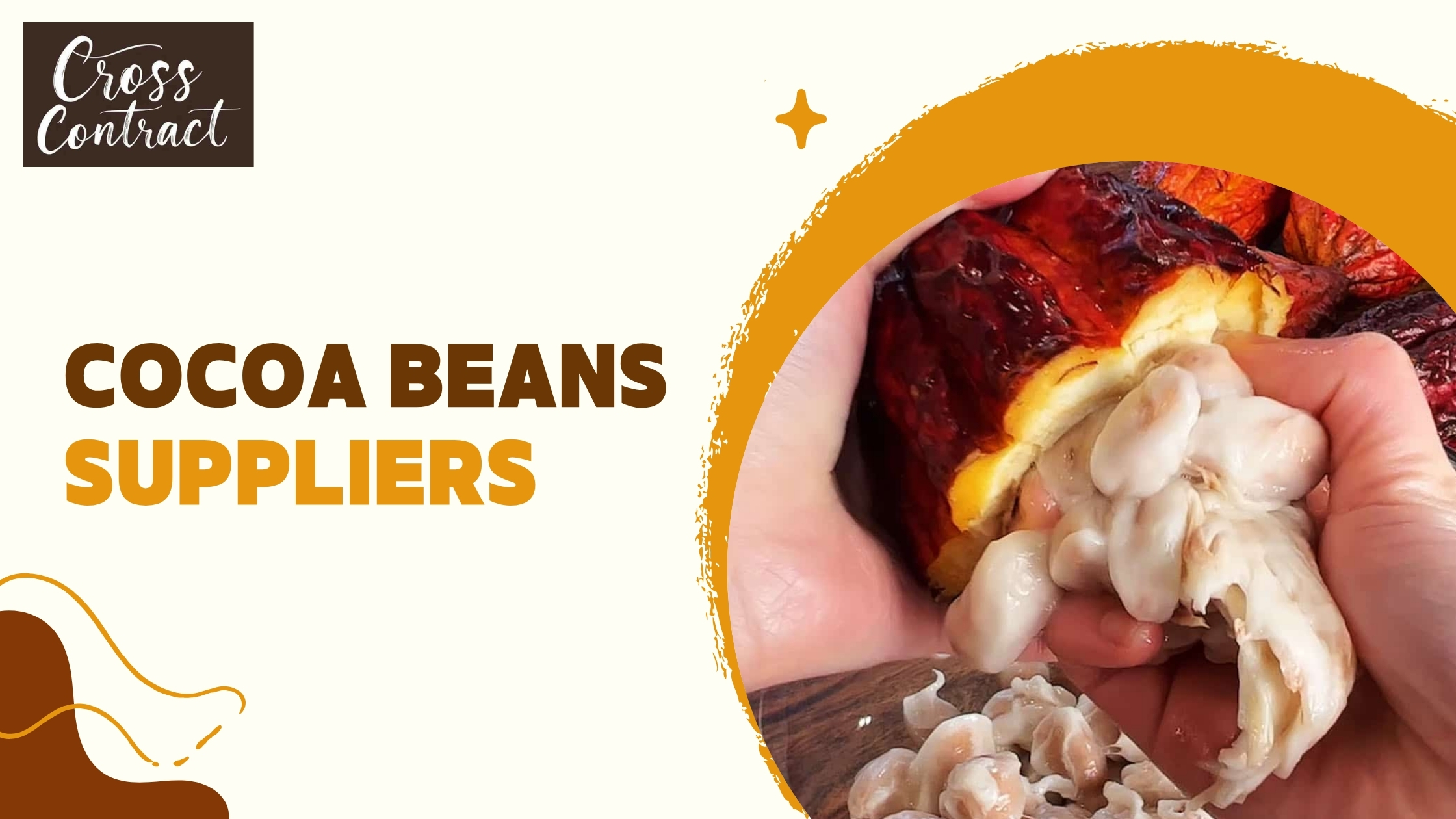 How to Choose Reliable Cocoa Beans Suppliers for Your Business |...